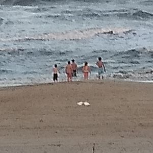 Meet your Posher, Sue